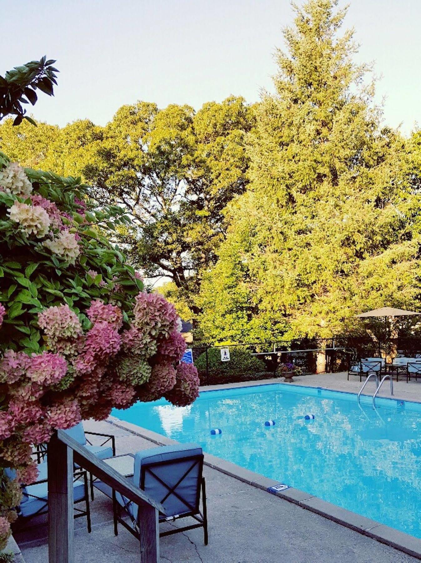 Starlight Lodge Cape Cod Dennis Extérieur photo